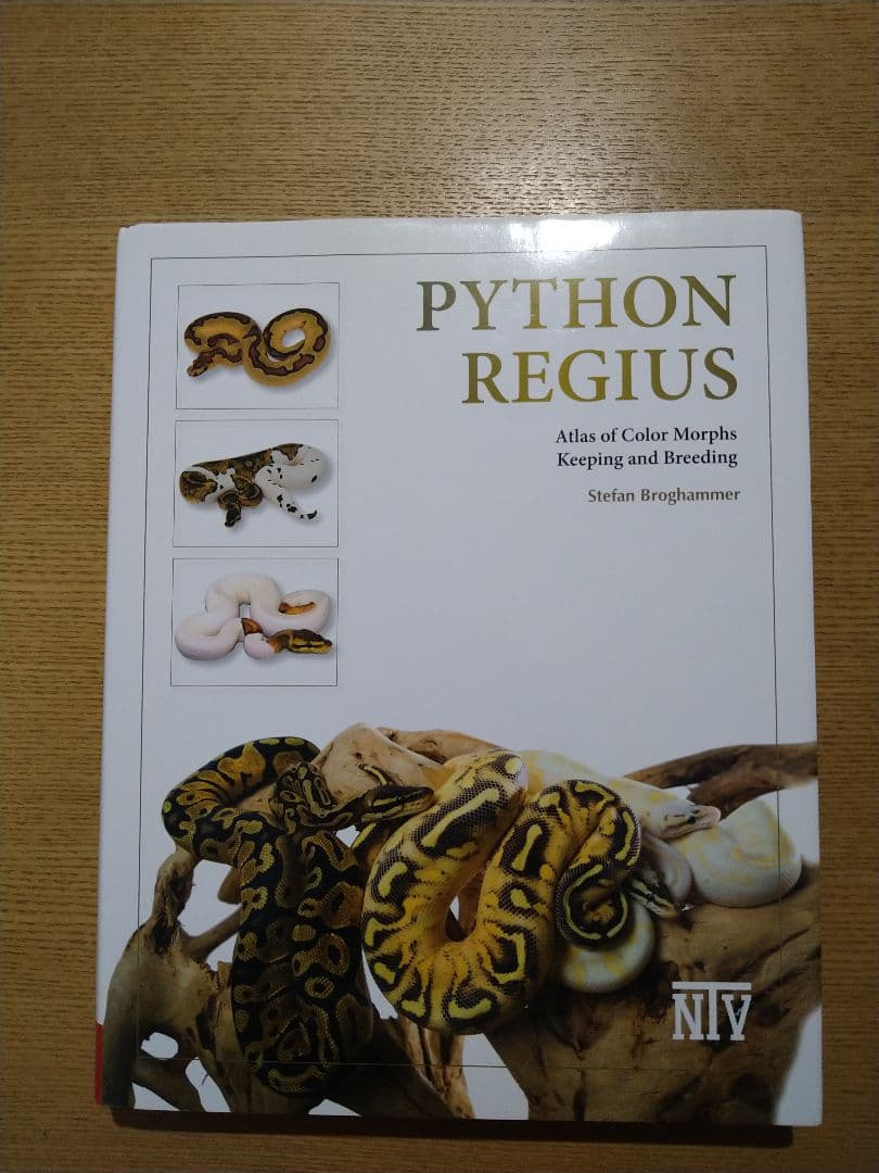 PYTHON REGIUS　洋書　ボールパイソン　カーペット　レインボーボア