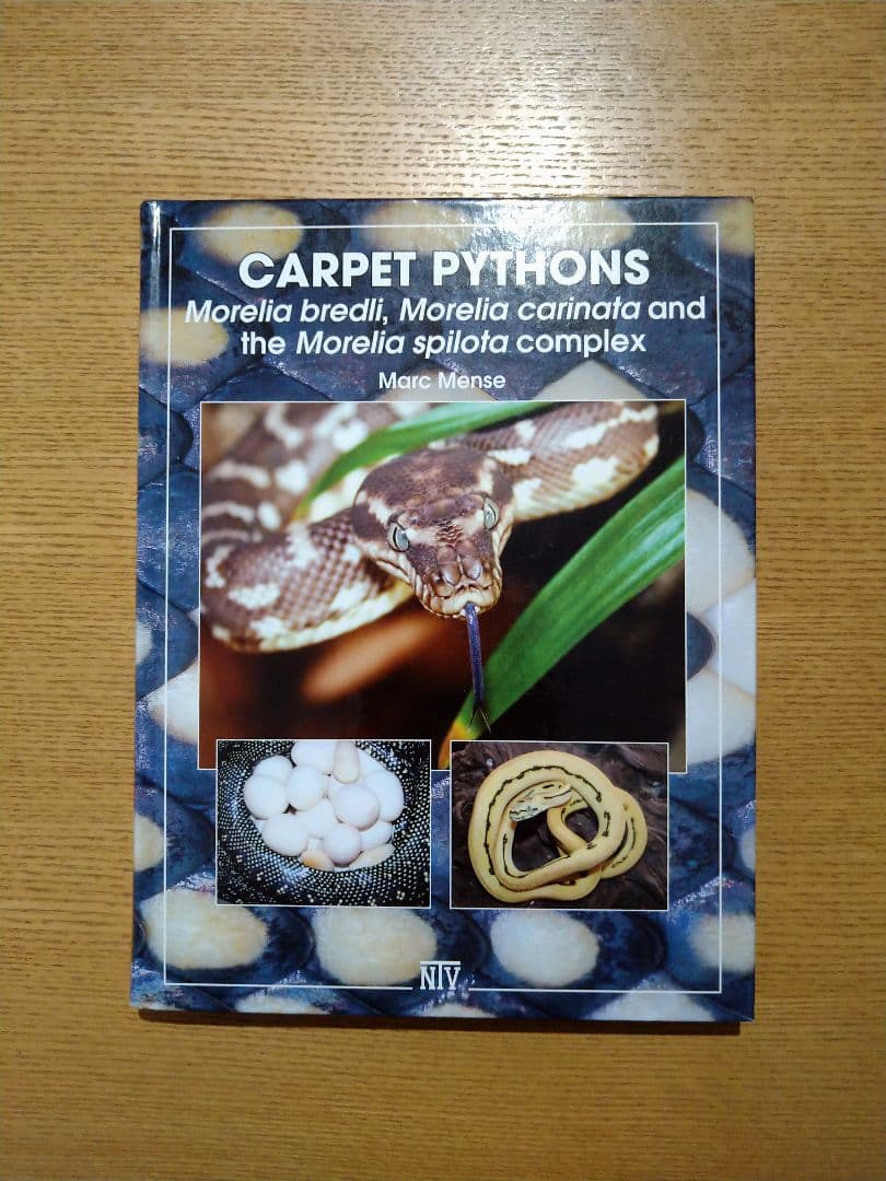 PYTHON REGIUS　洋書　ボールパイソン　カーペット　レインボーボア