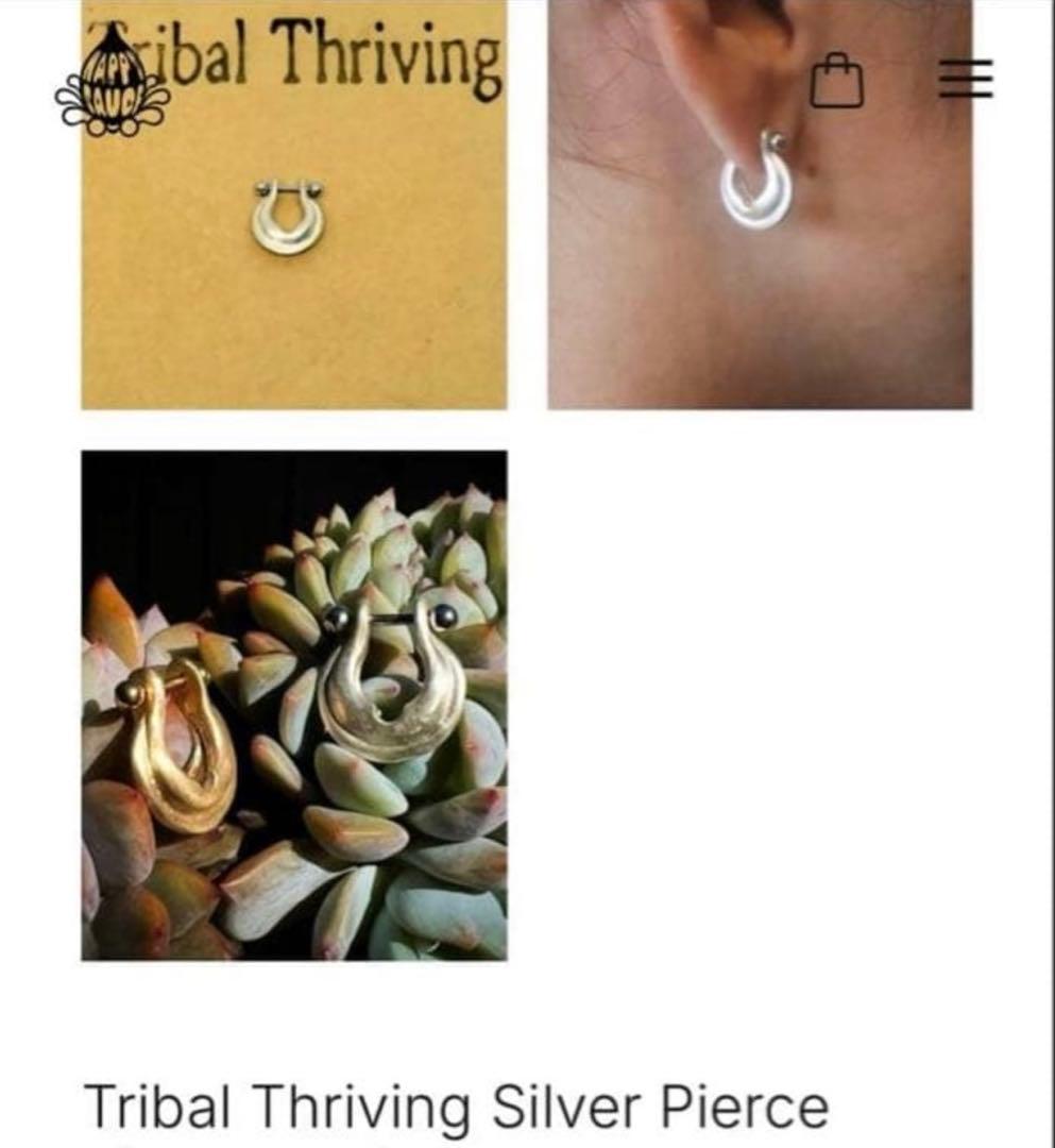 伊勢谷友介 ピアス レア 片耳