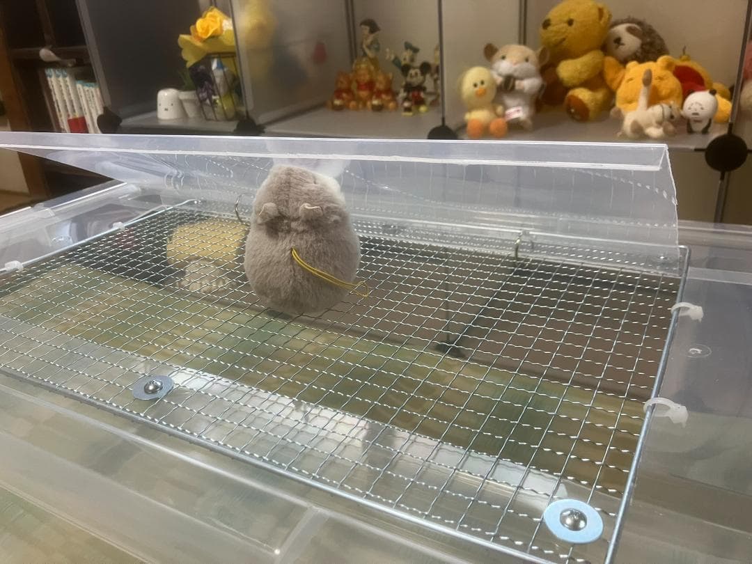 ④【お得２個セット】広い大きい快適な爬虫類・両生類用飼育ケース　ゲージ