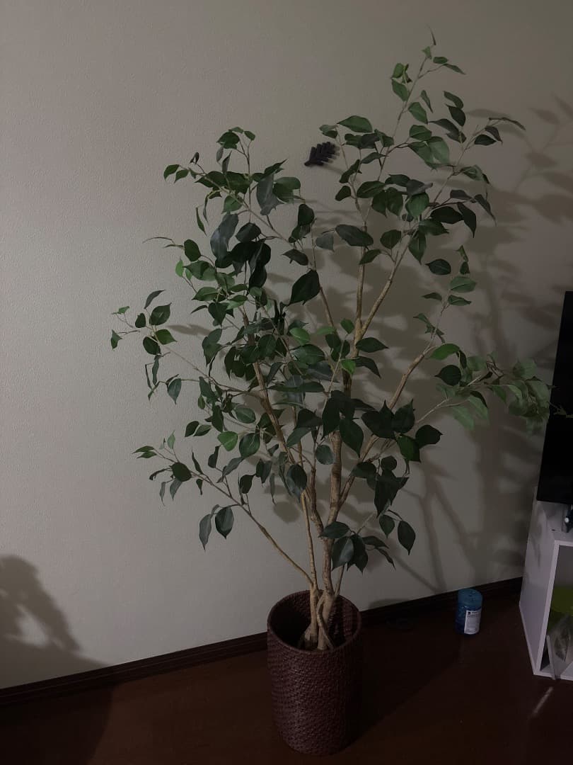 花瓶・フラワースタンド Flowers