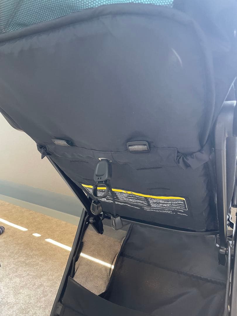 Viit ベビーカー 限定色 シルバーグリーン