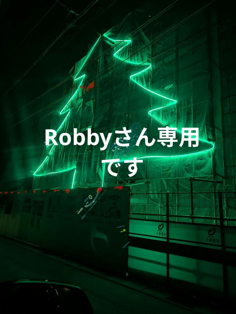 Robbyさん専用です