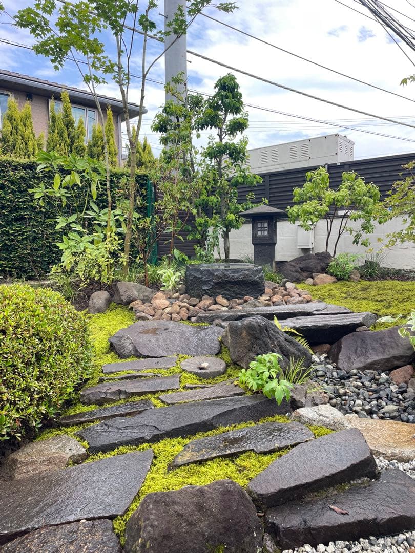 （10平米分）農家直送　明るい庭に最適なスナゴケ、ハイゴケ2種混合シート