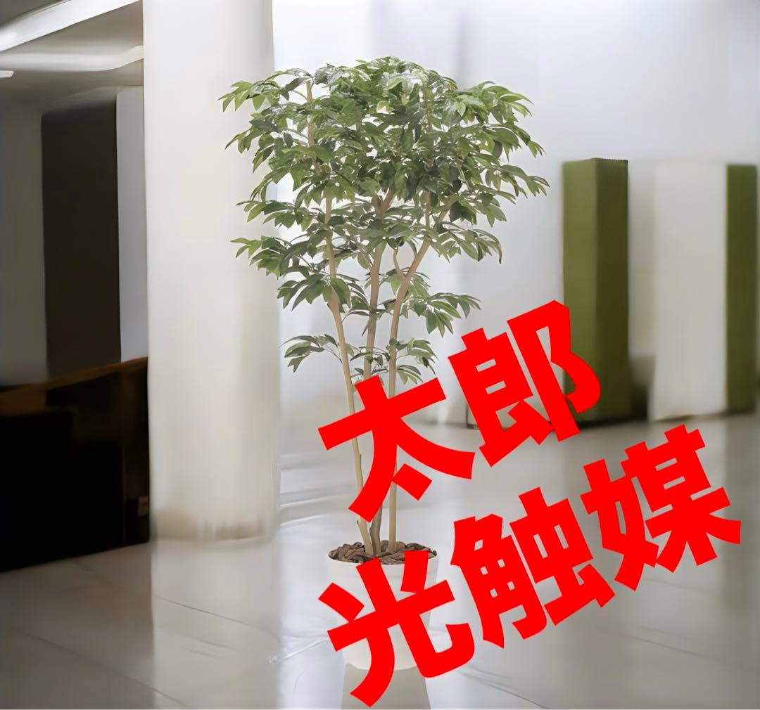 光触媒　人工観葉植物　ウォールグリーン　フェイクグリーン　デラックスアルデシア