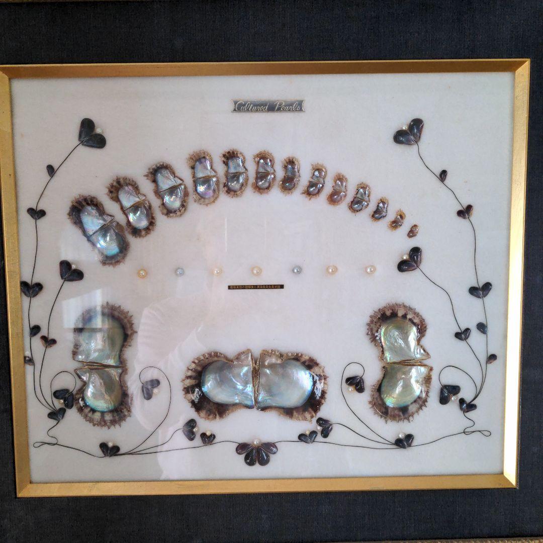 額　可愛い真珠の一生