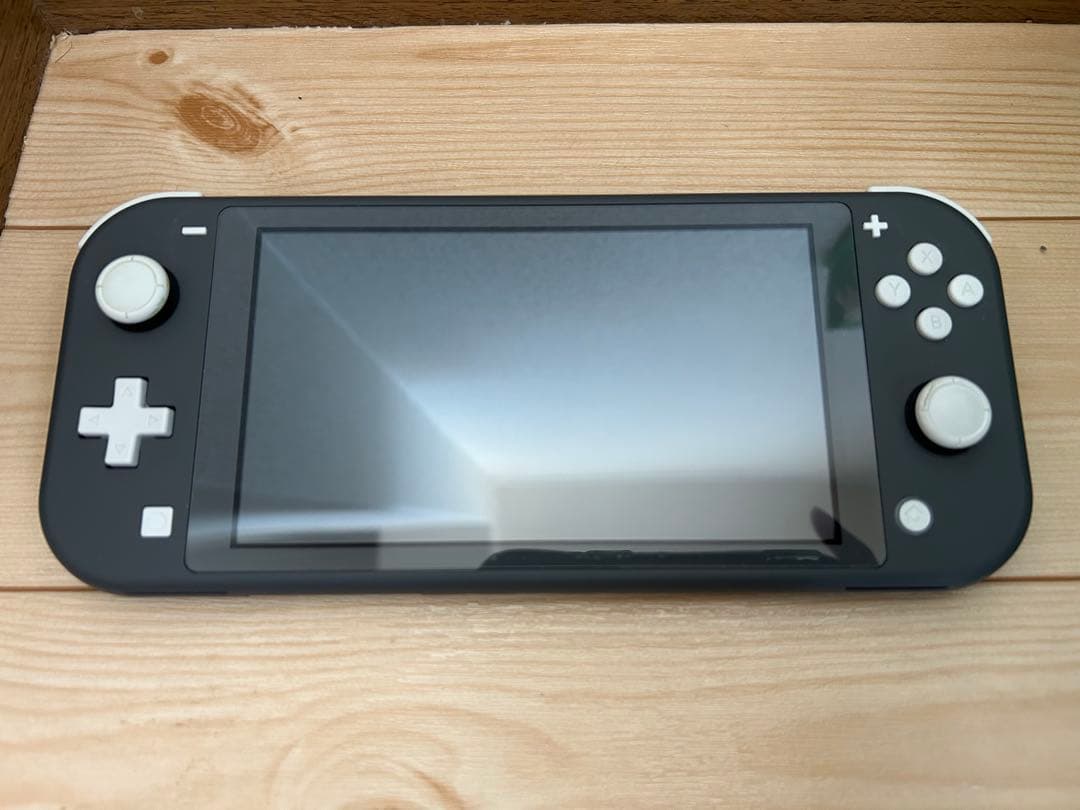 Nintendo Switch Lite グレー 保護フィルム、ハードカバー付