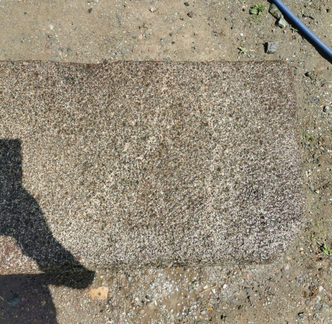 沓脱石　290キロ　庭石　石　石材　庭 坪庭　ガーデニング　置物　オブジェ