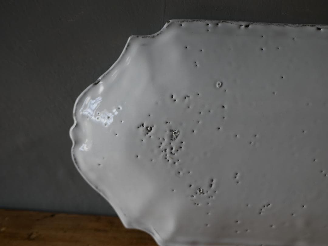 アスティエ　食器　ASTIER de VILLATTE フィッシュプラッター