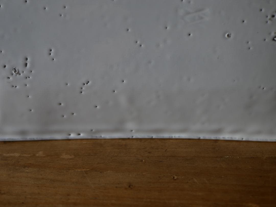 アスティエ　食器　ASTIER de VILLATTE フィッシュプラッター