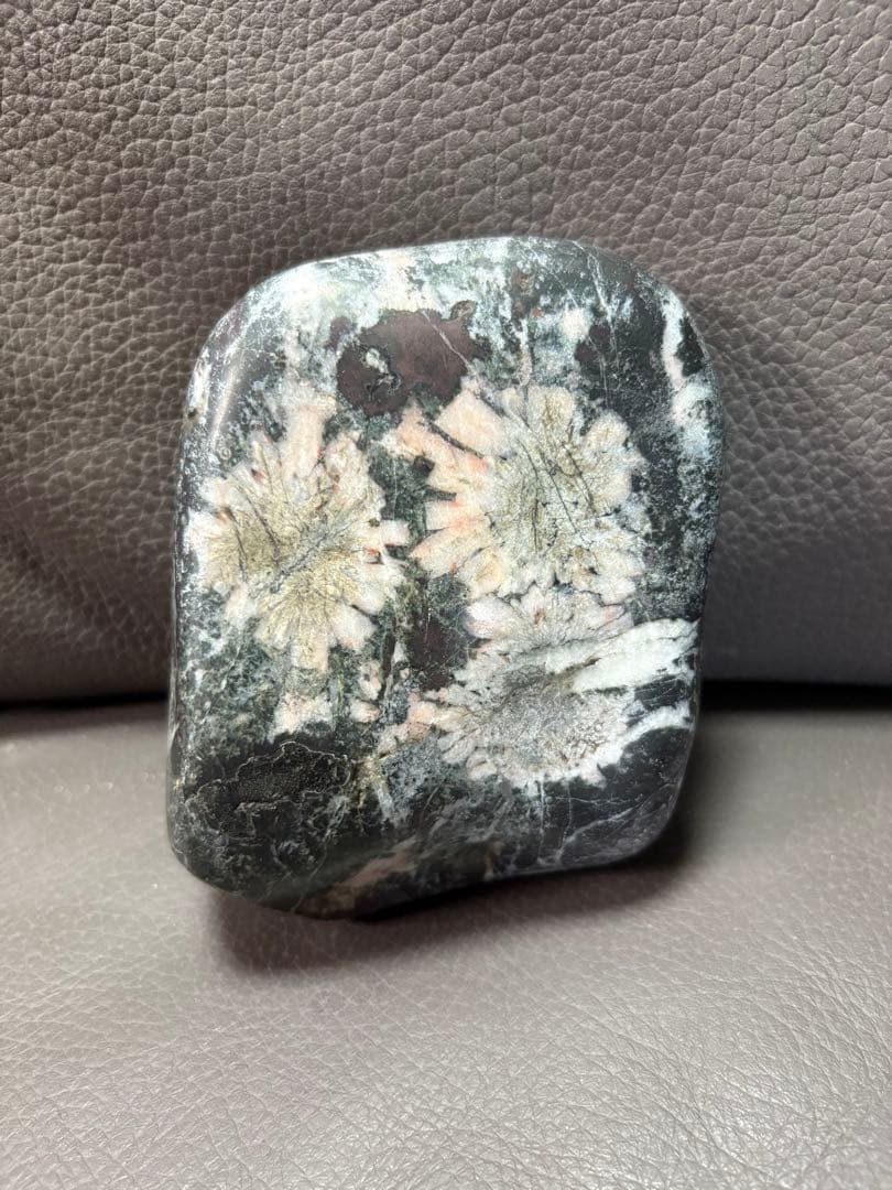 鑑賞石　花石　置物