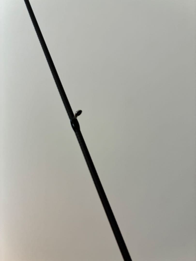 ゼスタ ブラックスター エクストラチューンド 54UL-S