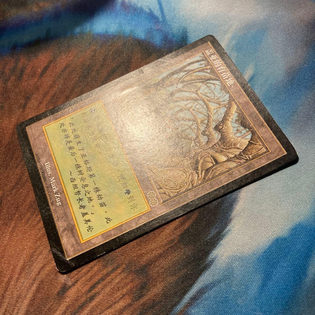 Mtg ガイアの揺籃の地 中国語 簡体字