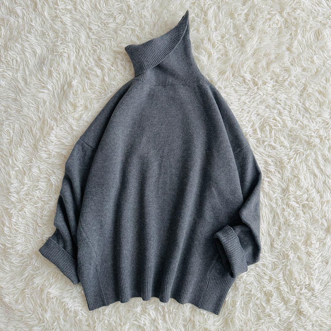 極美品♡名ニット EVERYDAY I LIKE. Ariesタートルネック