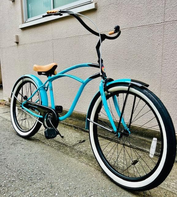 レインボー ビーチクルーザー PCH101 29 1S ド迫力　29インチ