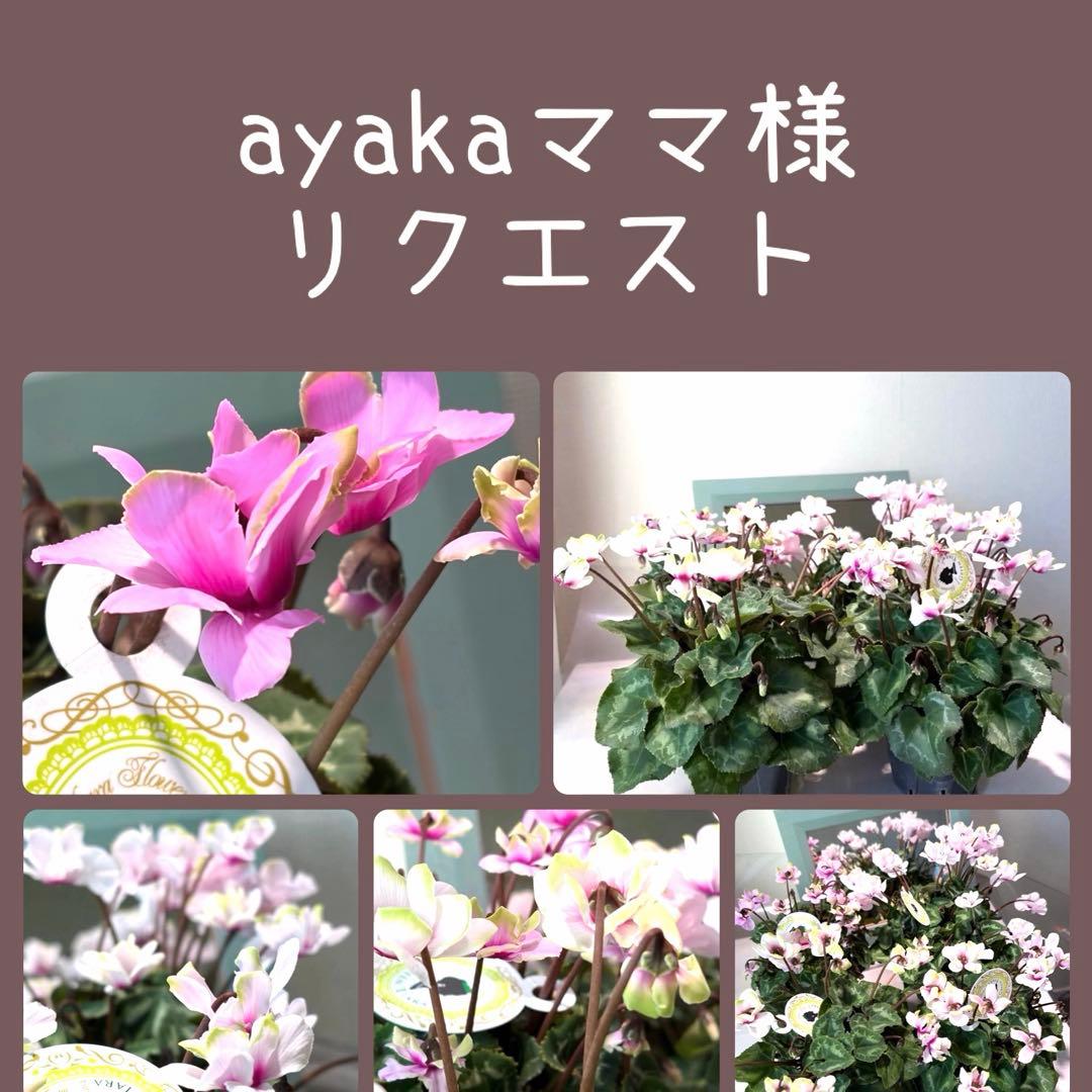 ayakaママ様　リクエスト　おまとめ5点