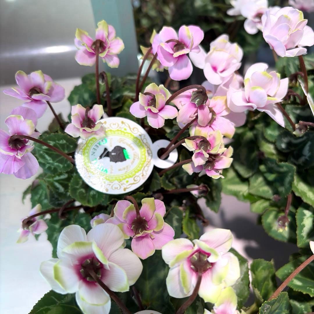 ayakaママ様　リクエスト　おまとめ5点