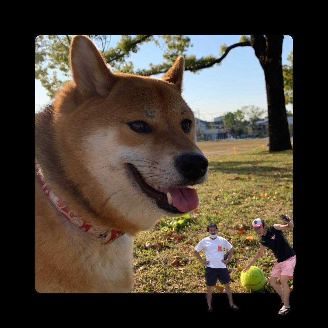 j.t95☆様ご確認用