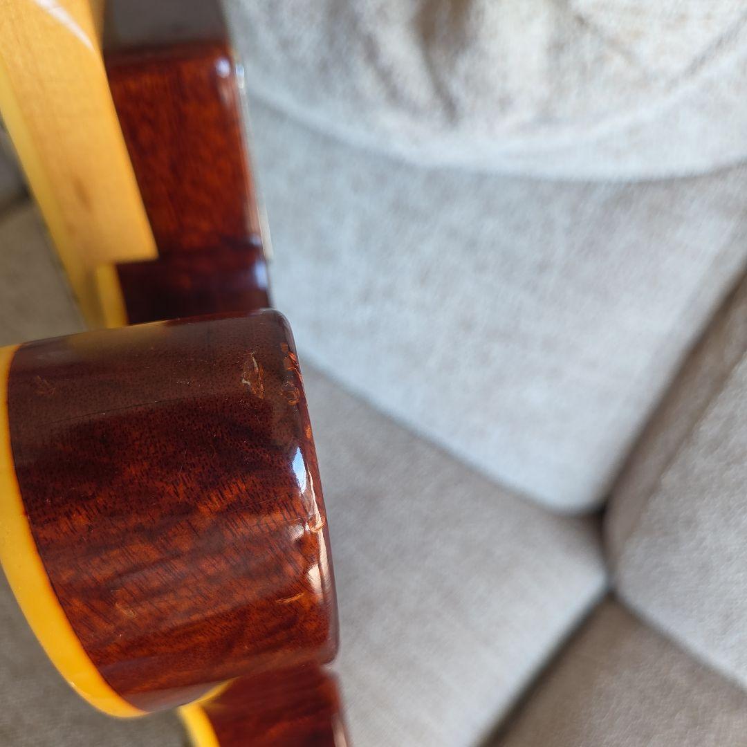 ギター BRUNO GUITARS TN-295