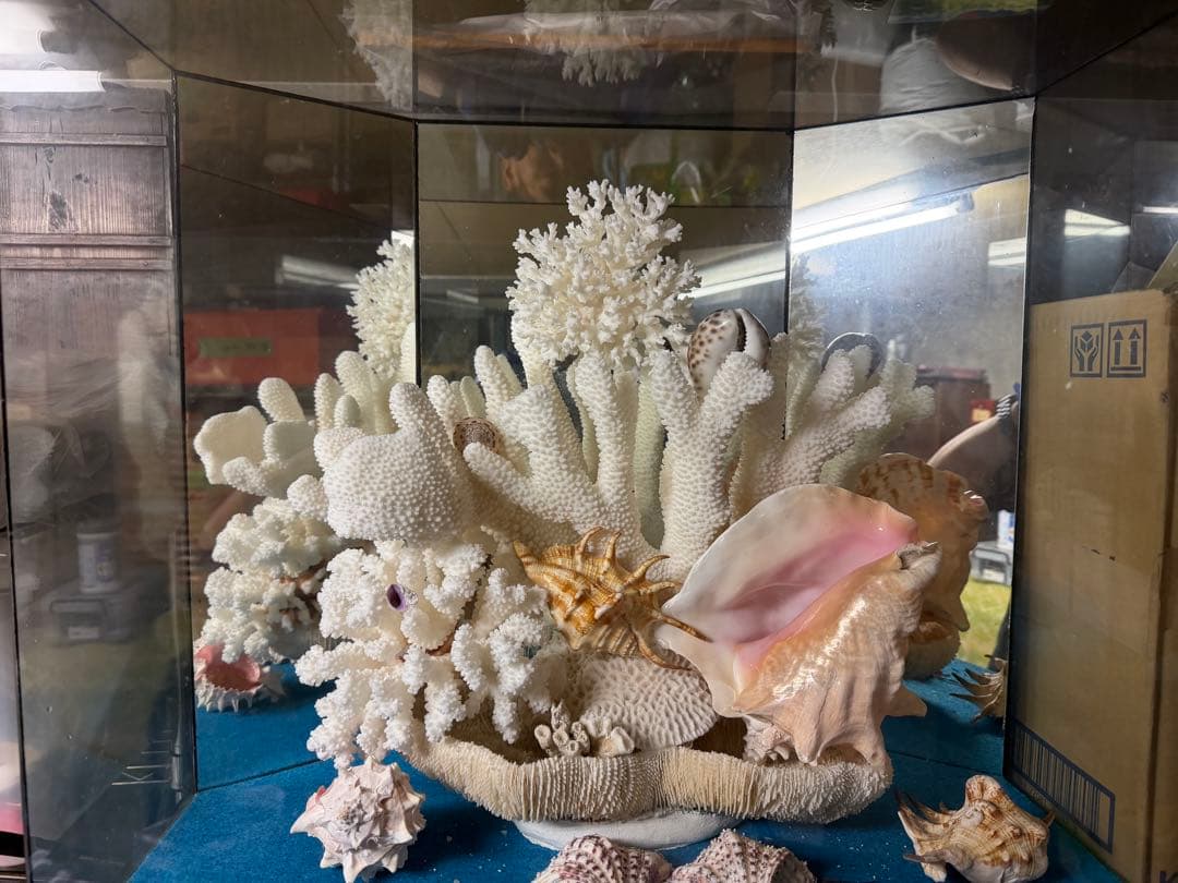 珊瑚　置物　大型　オブジェ　アンティーク　最終価格