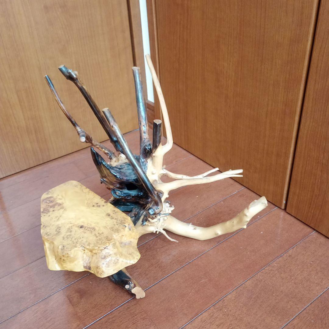 流木　アート　飾り棚