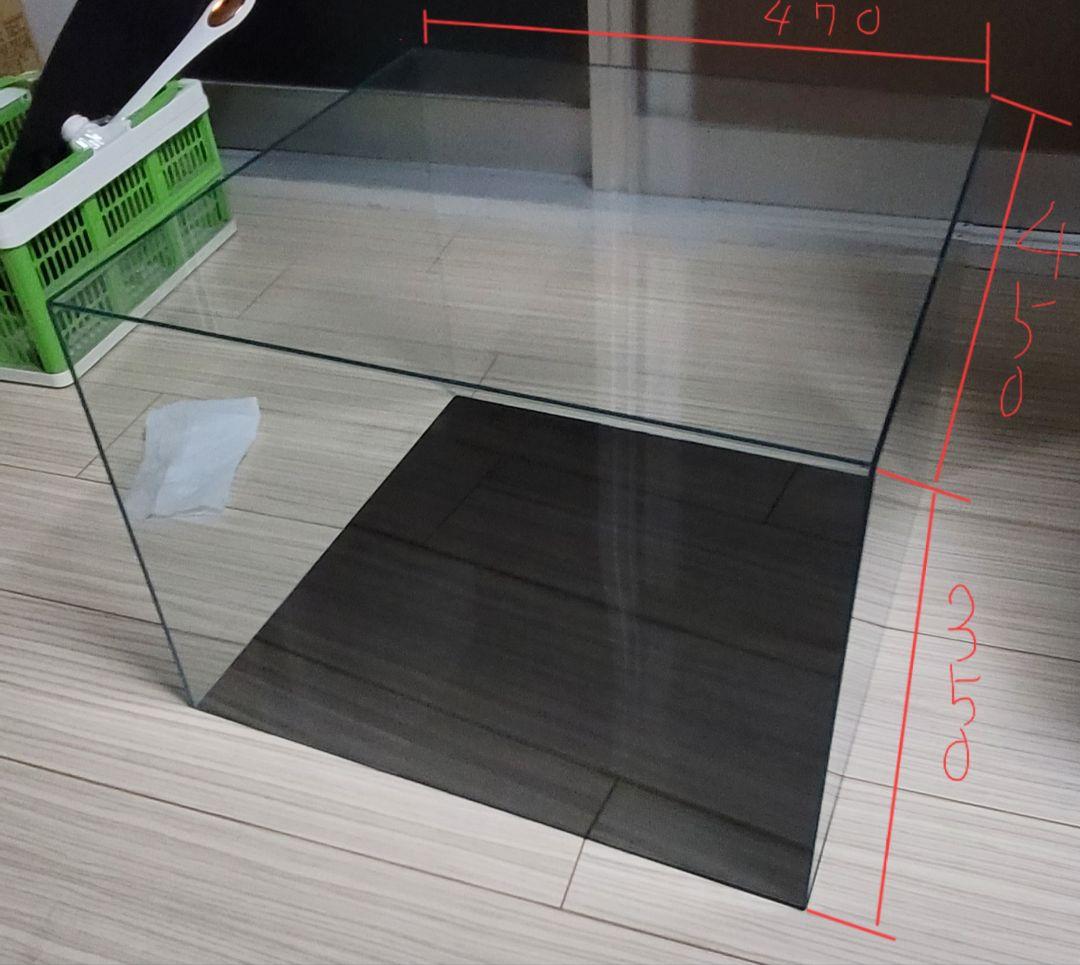 大型アクリルケース (特注)