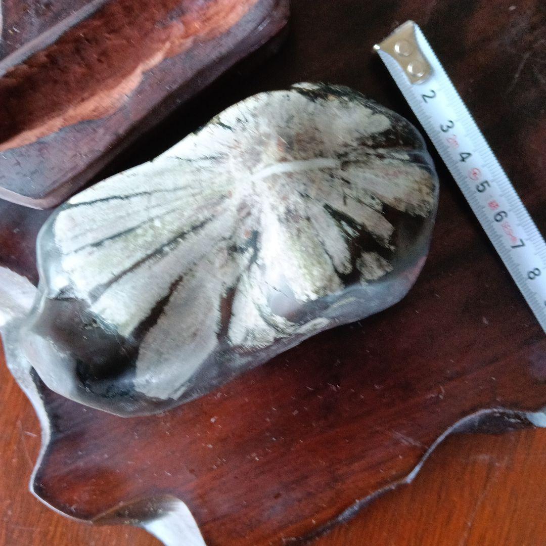 菊花石　天然石 インテリア置物 木製台座付き