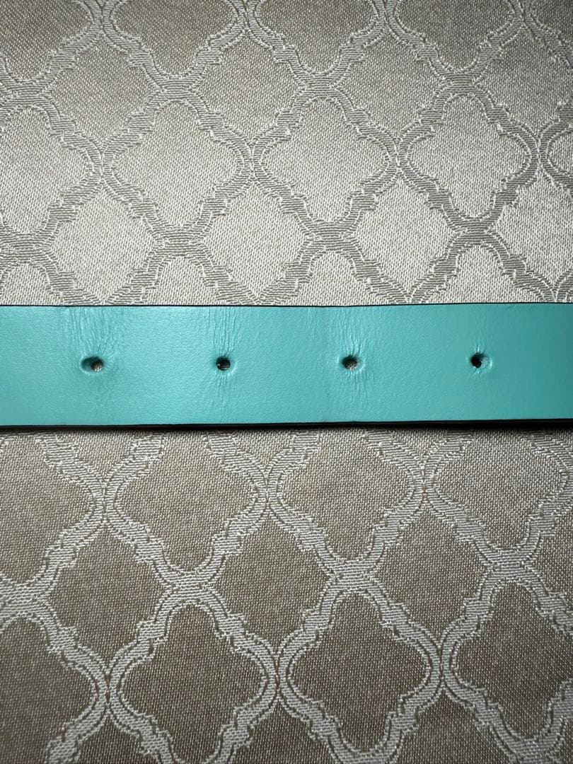 Tiffany & Co. ティファニーブルー レザー首輪