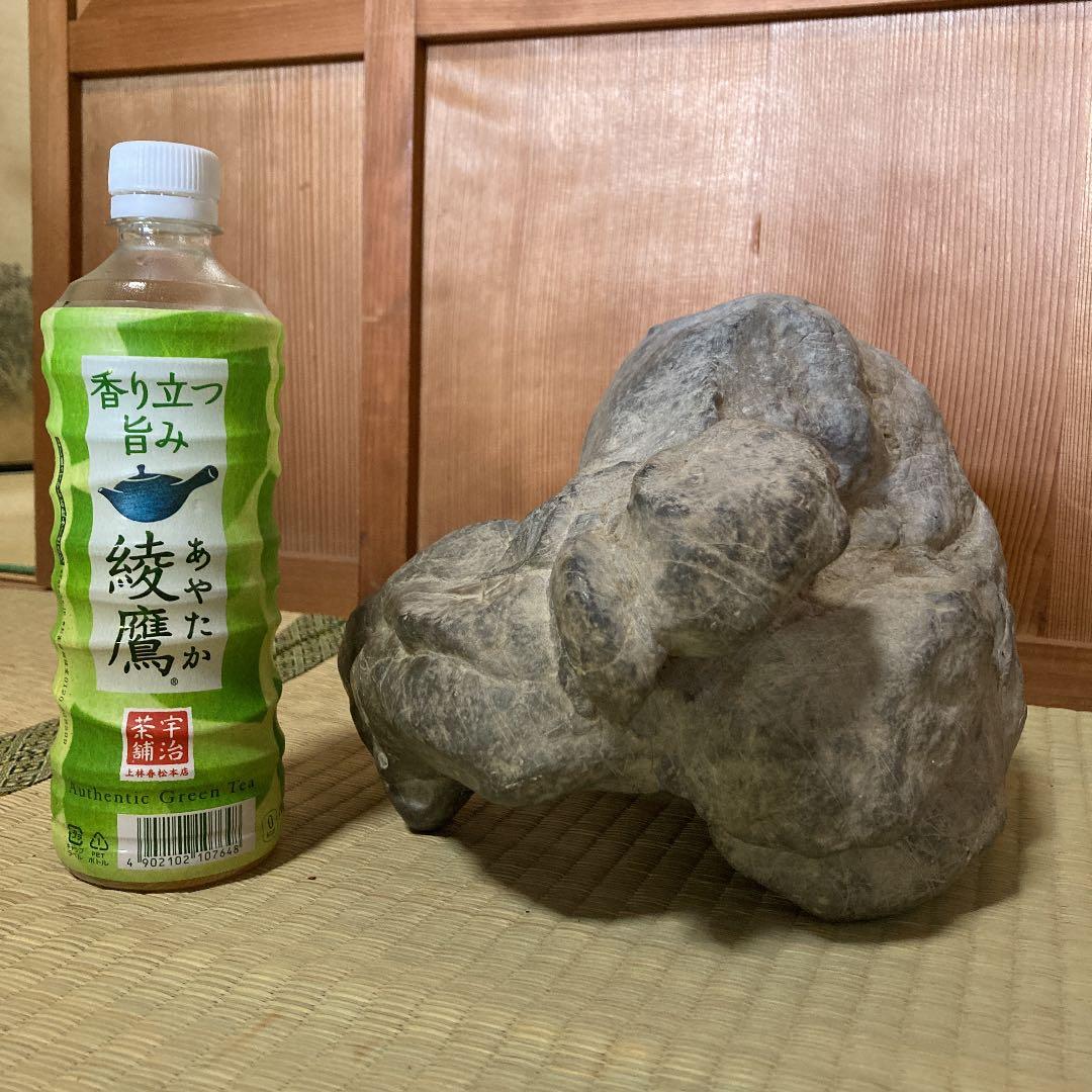 奇石　6キロくらい