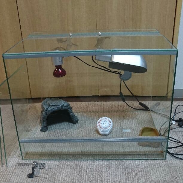 EHElM爬虫類ケージセット 600×450