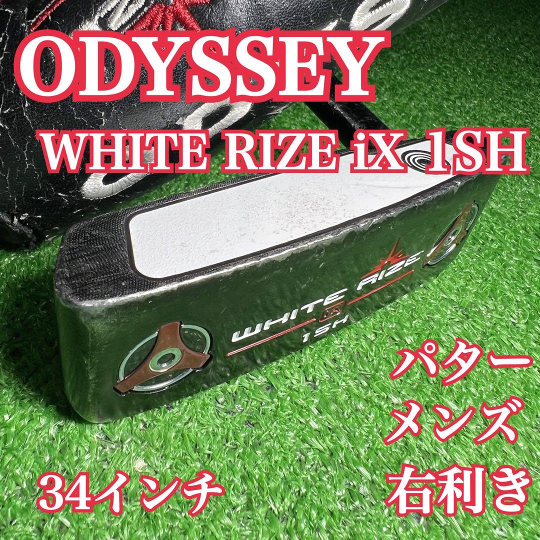 D260 Odyssey WHITE RIZE iX 1SH パター メンズ 右