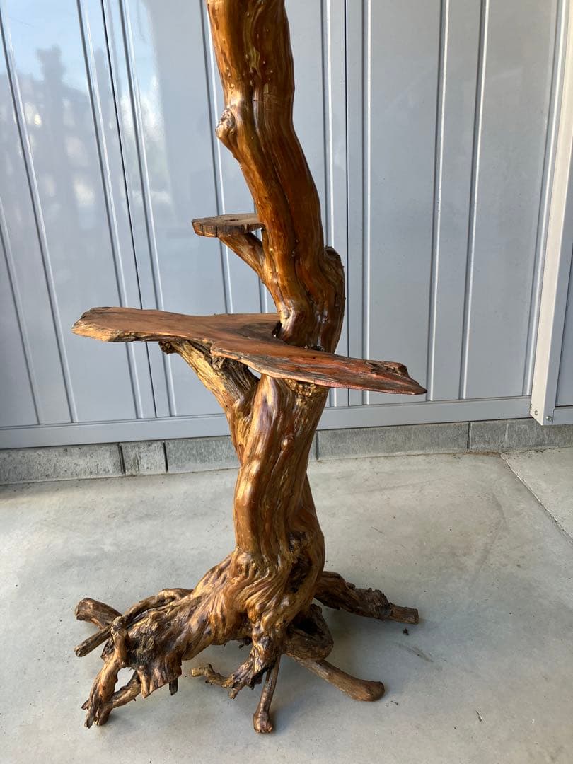 流木飾り台、サルスベリ