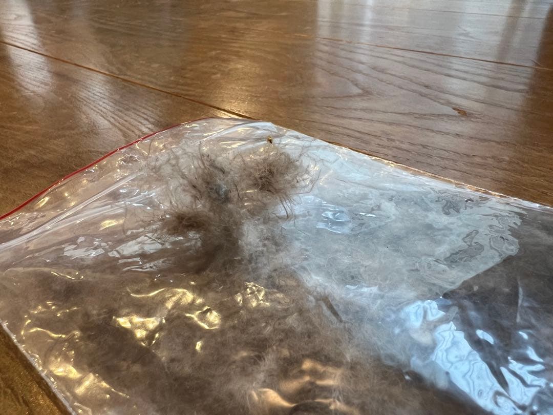 パラディース 東京西川 アイダーダックダウン100% シングルサイズ 800g