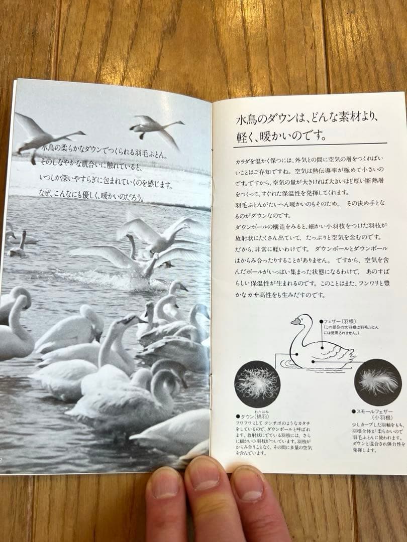 パラディース 東京西川 アイダーダックダウン100% シングルサイズ 800g