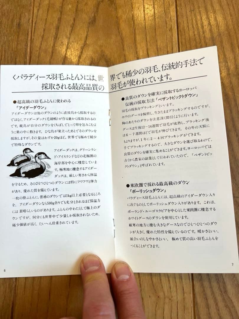 パラディース 東京西川 アイダーダックダウン100% シングルサイズ 800g