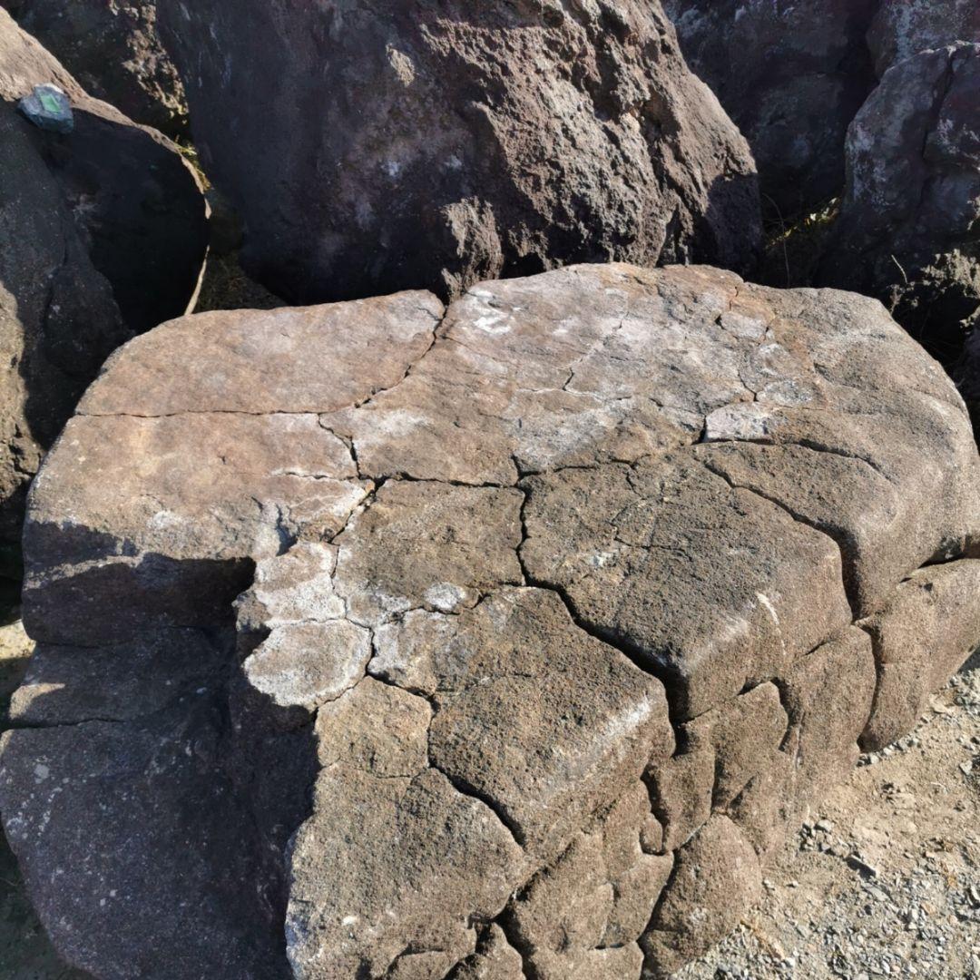 亀甲石　2トン　庭石　石　鑑賞石　庭　ガーデニング　置物　オブジェ　インテリア