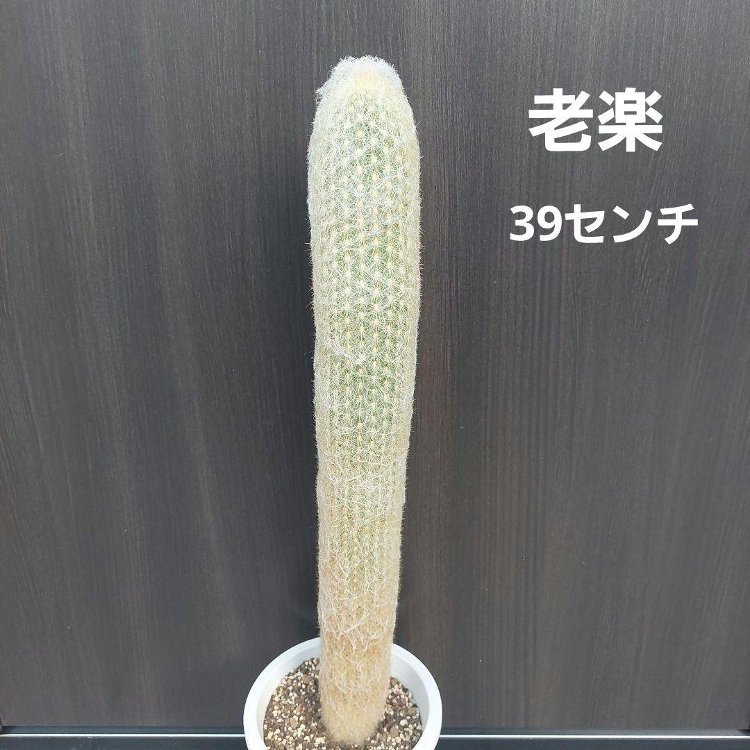 KiKi様 リクエスト 3点 まとめ商品