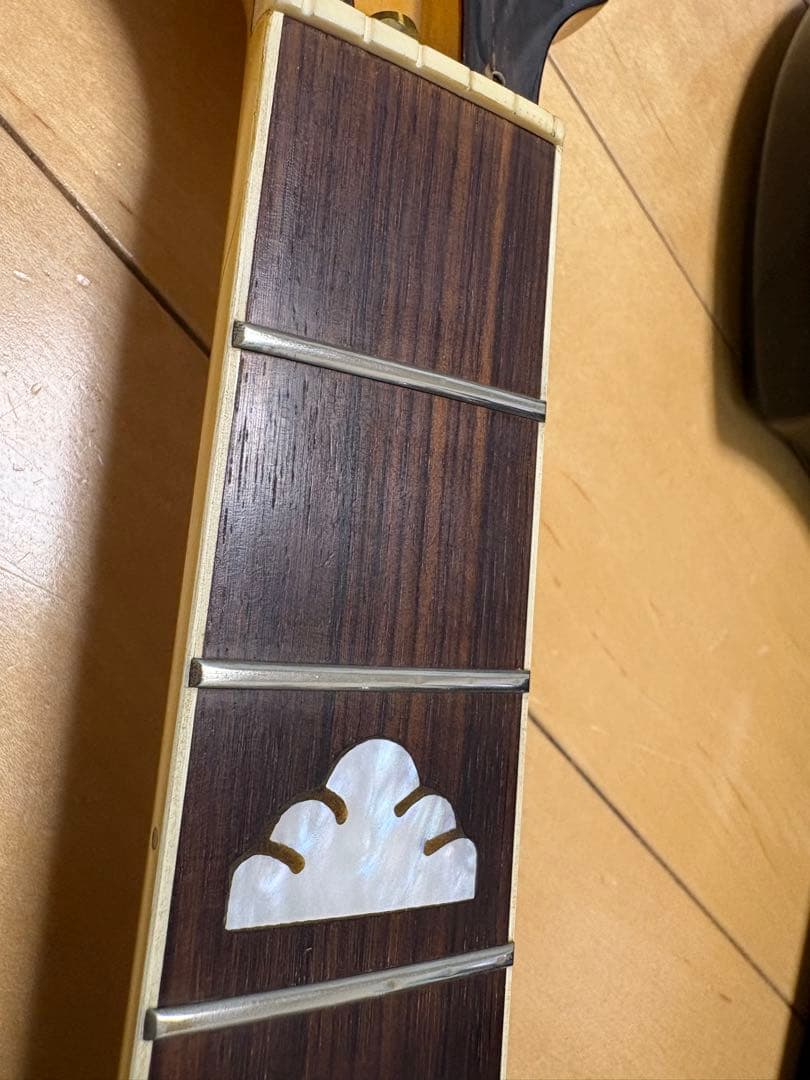 FERNANDES MG-80X hide モデル X JAPAN 抜け殻