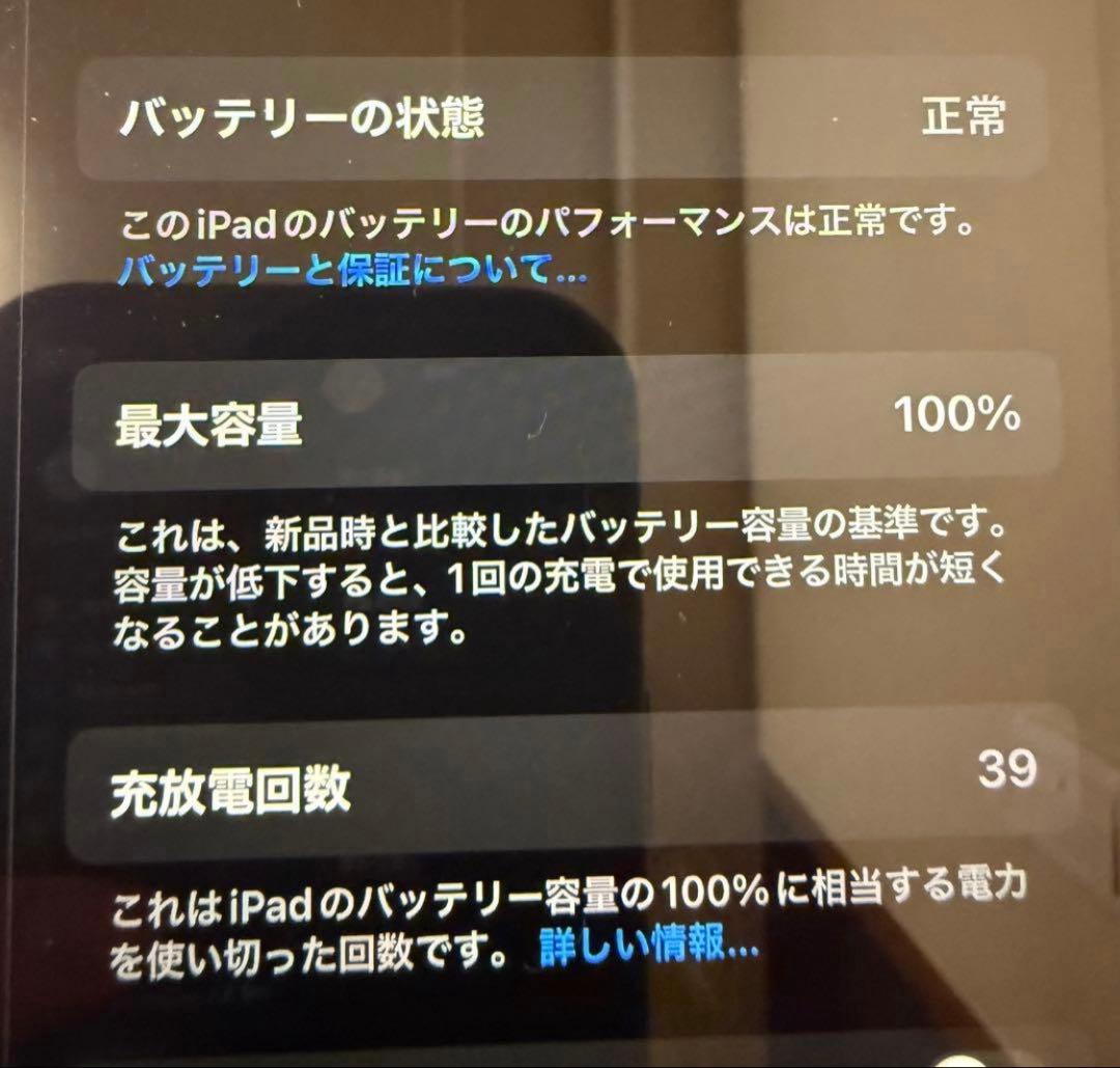 iPad mini 第7世代 セルラー 128GB バッテリ100% ケース付