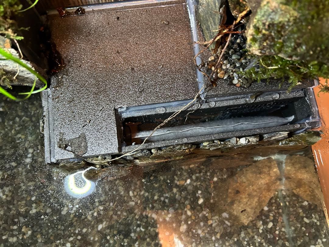 コトブキオールガラス水槽　60センチレイアウト