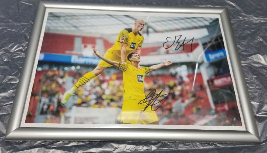 ハーランド　ベリンガム　直筆サイン　普通紙