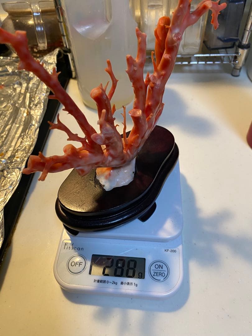 天然深海赤珊瑚 枝珊瑚置物 台座付きジュエリー宝石原木 オブジェ骨董