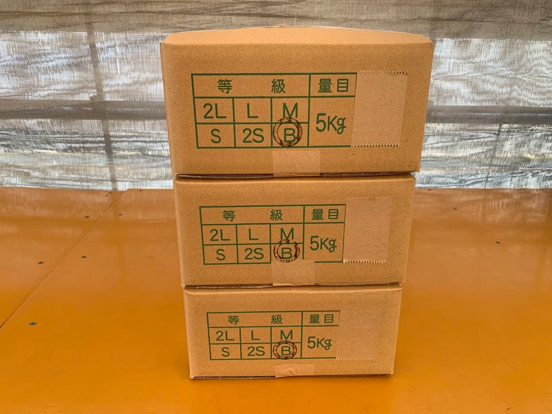 茨城県産 長ネギ 15キロ（5キロ×3箱）