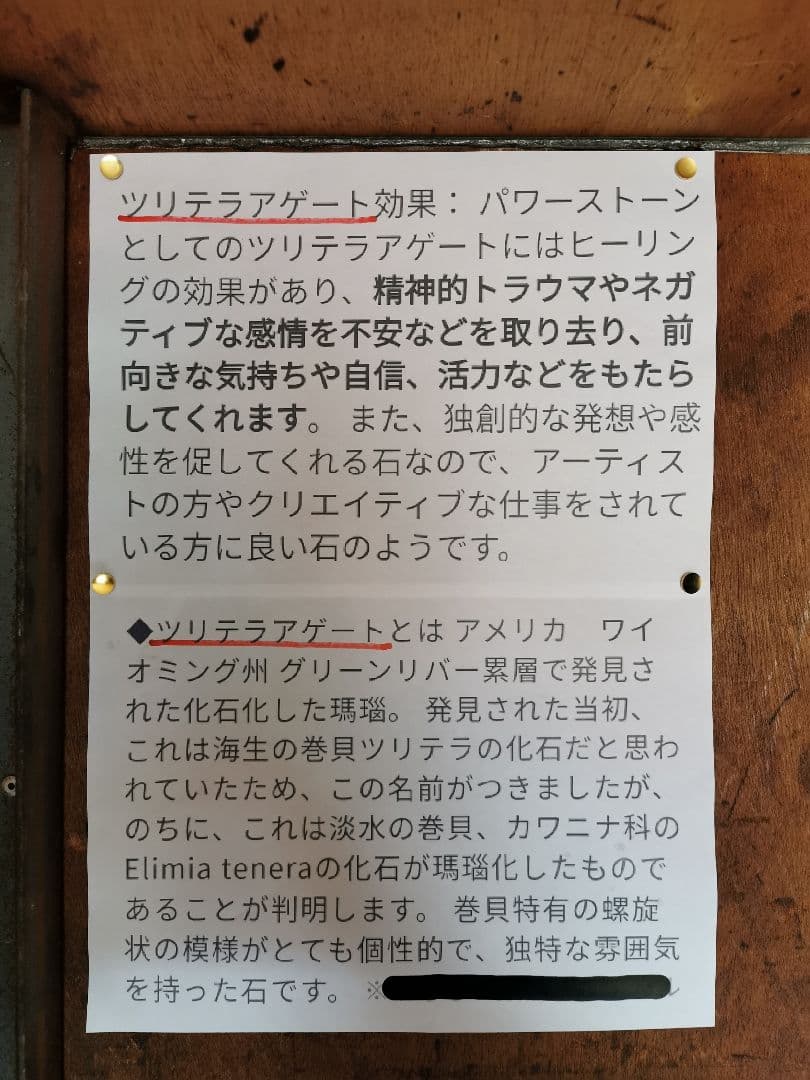 ツリテラアゲート　2.3キロ　化石　瑪瑙　アゲート　鑑賞石　石　置物　オブジェ
