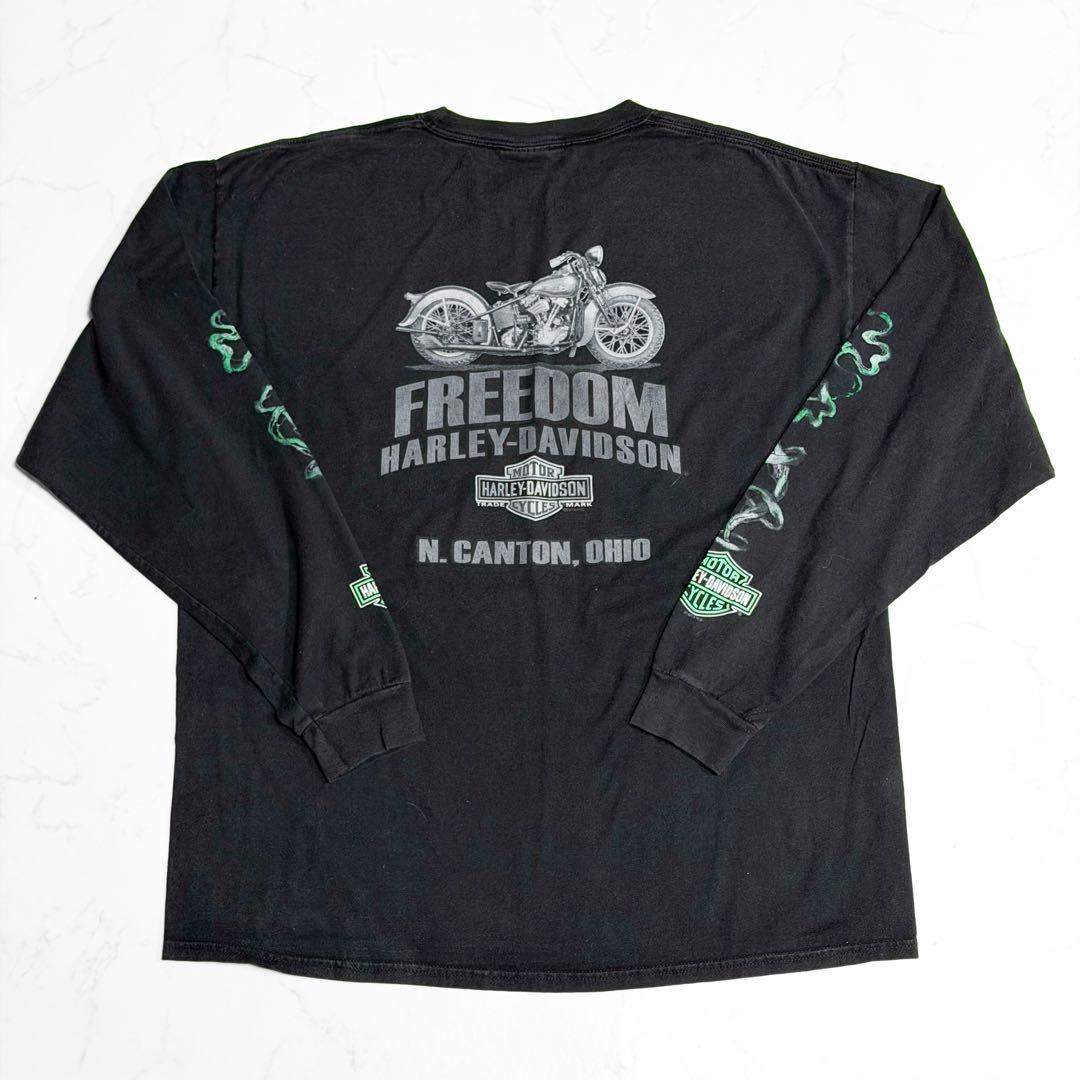 HARLEY DAVIDSON ハーレーロンT TREASURE トレジャー