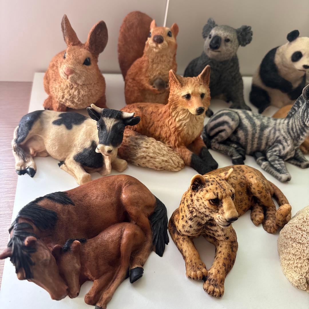 Castagna カスターニャ　20体