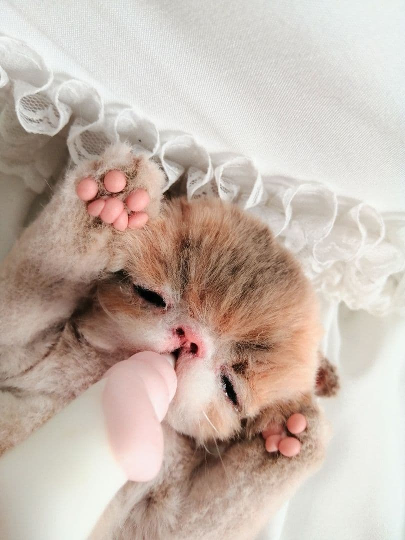 ママぁ～♡お世話セット♡子猫ちゃん♡アートドール♡ぬいぐるみ♡