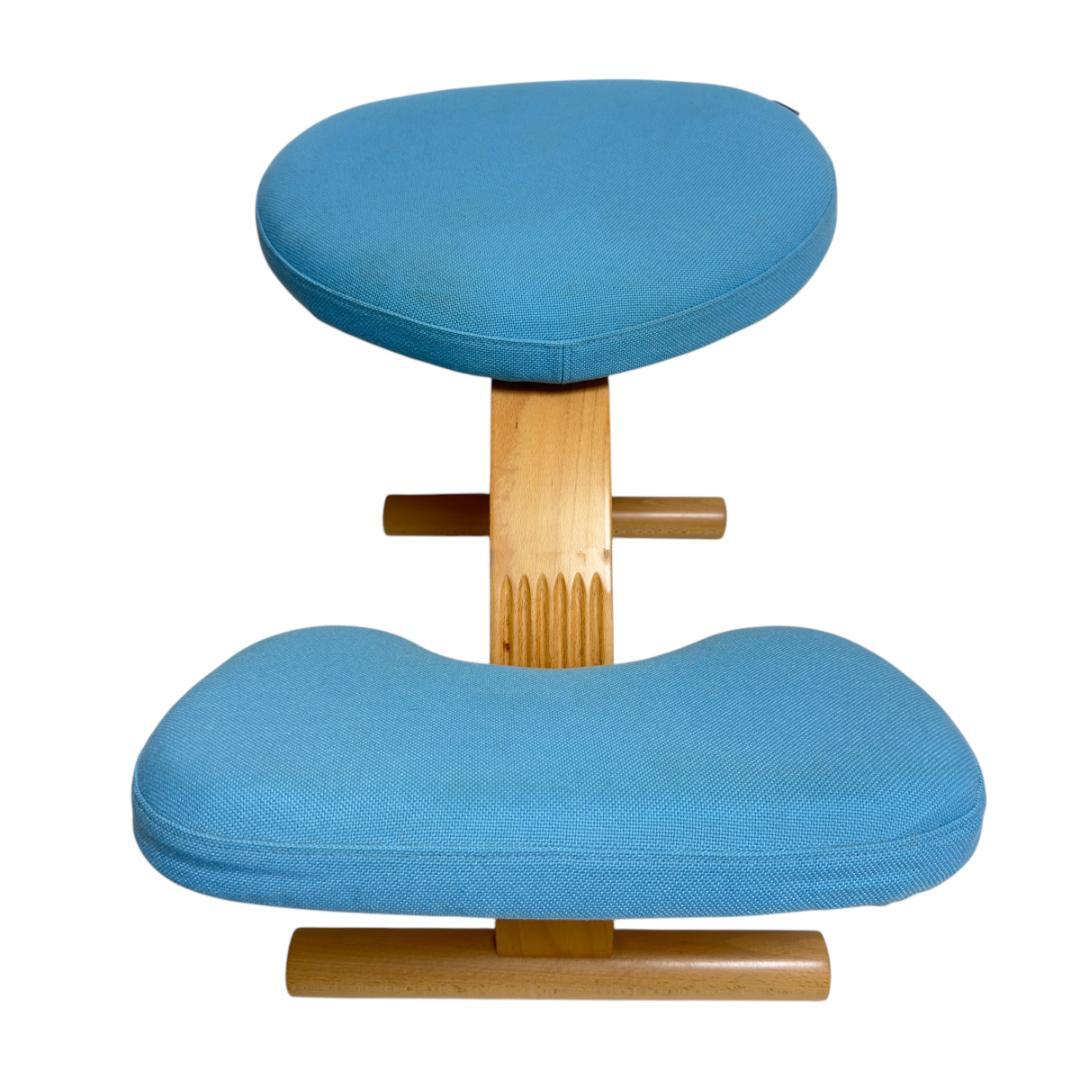 Sakamotoサカモトハウス バランスチェア イージー 姿勢がよくなる