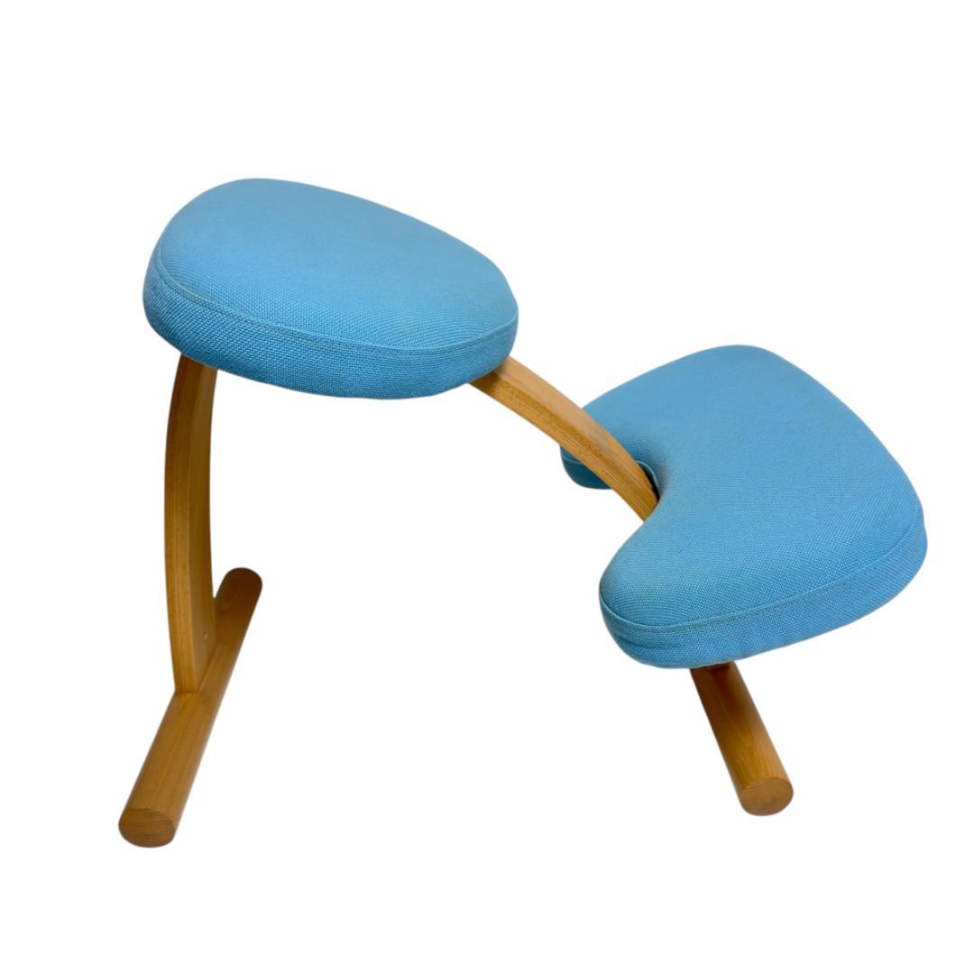 Sakamotoサカモトハウス バランスチェア イージー 姿勢がよくなる