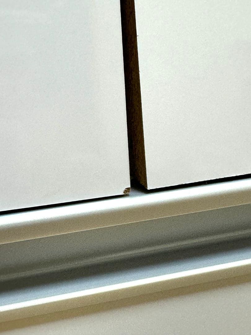 ディノス　クローゼット　押し入れ　タンス　隠しキャスター付き